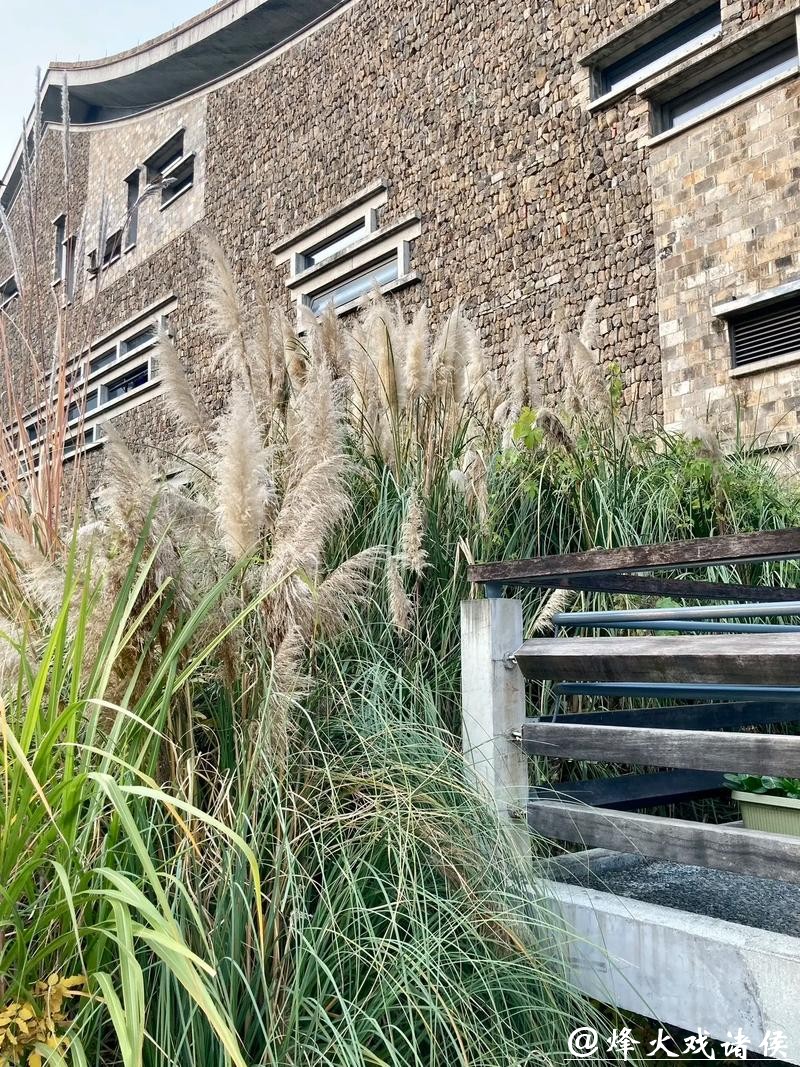 金湖重生记 金湖重生记